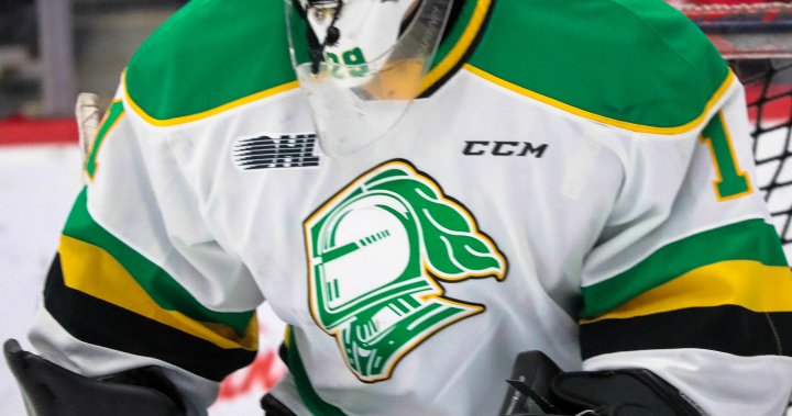 London Knights complete goalie swap with Sarnia - London