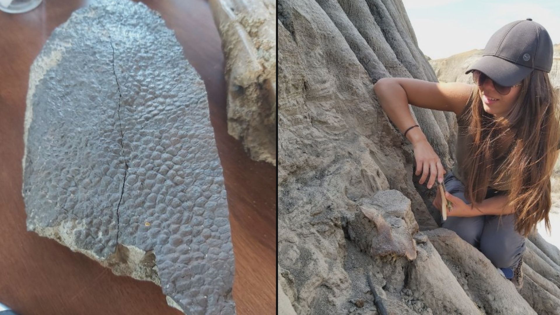 Skin deep: Calgary hobbyist paleontologist finds fossil complete with skin  