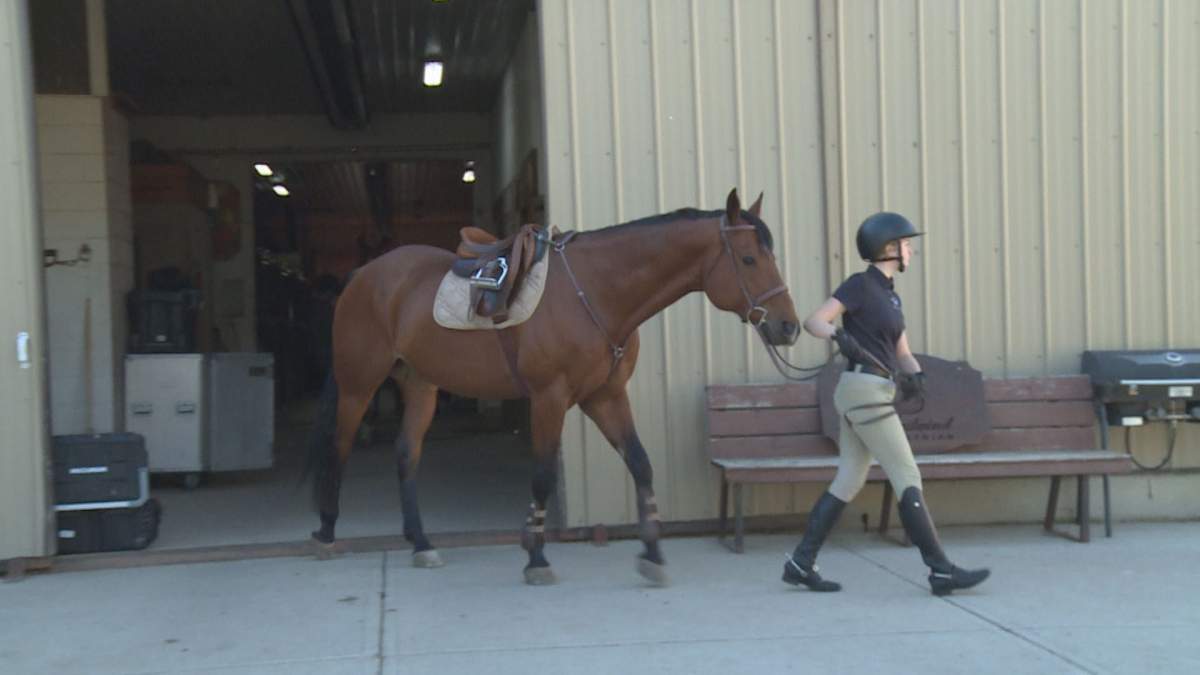 A horse and rider at Tailwind Equestrian in Lethbridge, Alta.