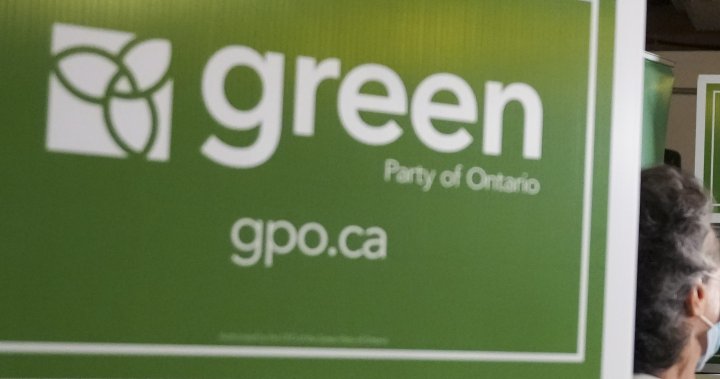 El líder del Partido Verde de Canadá renuncia en medio de la agitación: «No hay visión para un futuro mejor» – The National