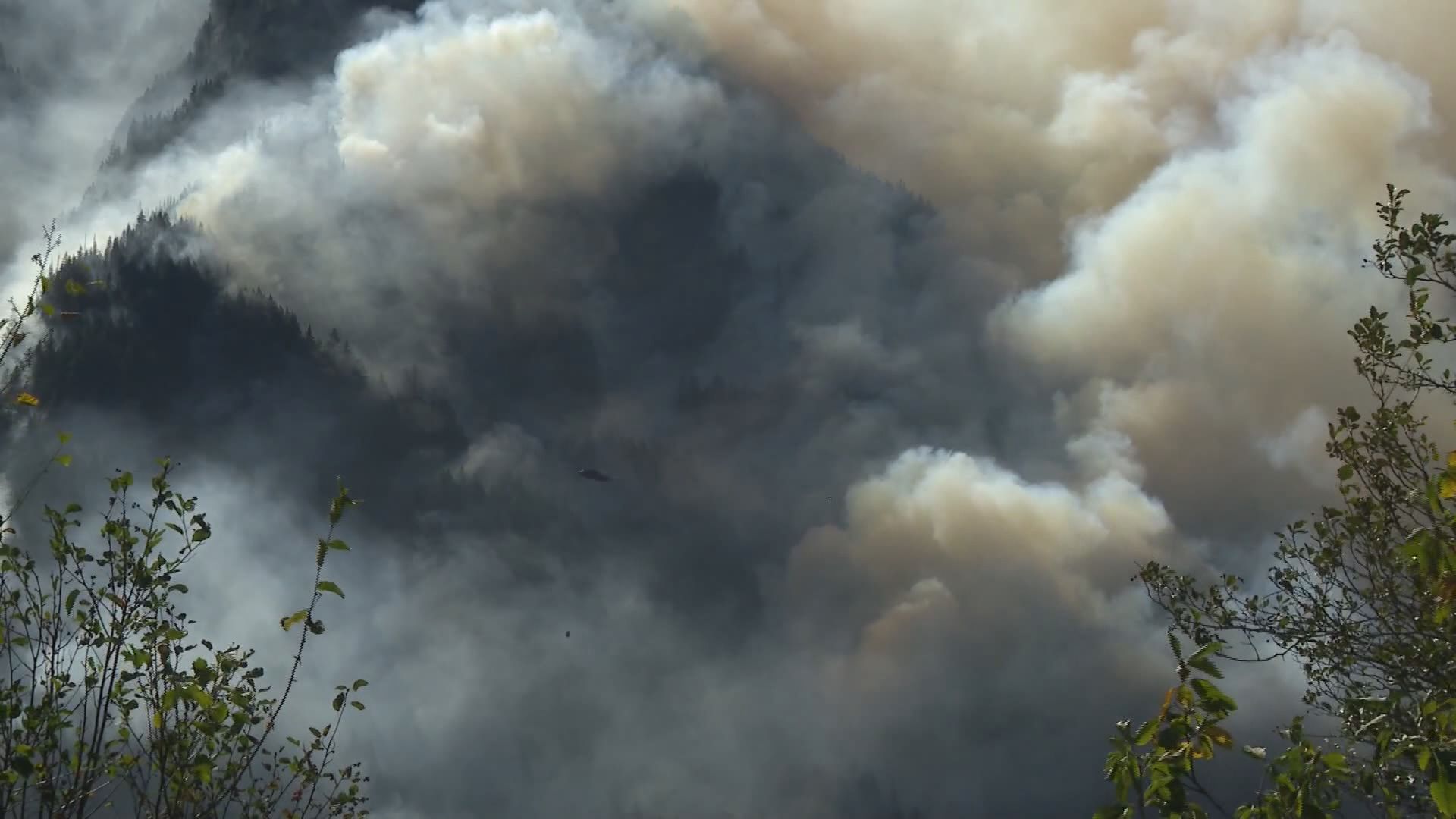 Flood Falls Trail Wildfire In Hope, B.C. Grows To 65 Hectares, Alert ...