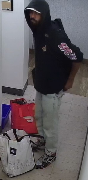 Toronto police seek suspect wanted in connection with break-and-enter investigation - image