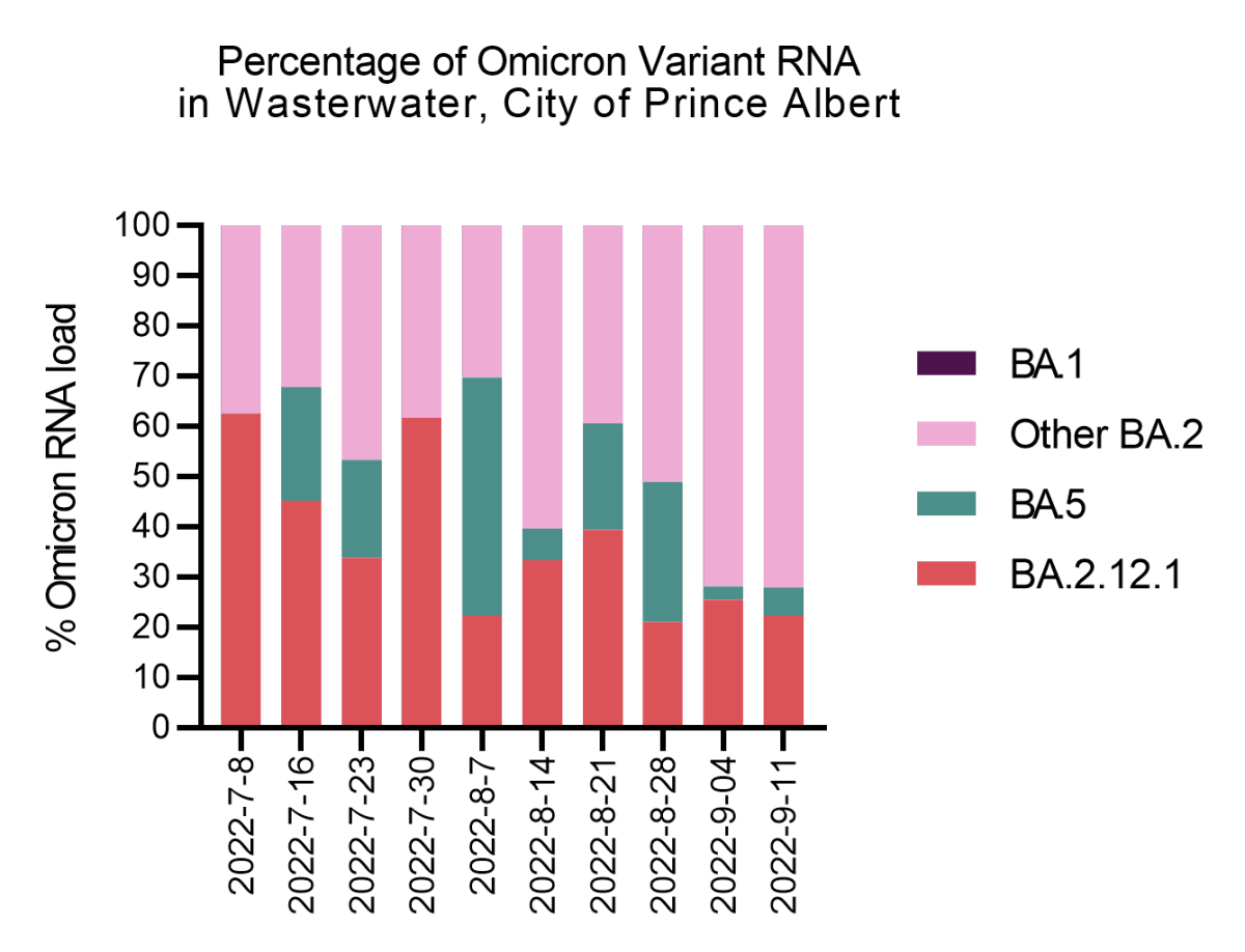 The percentage of omicron variant RNA in the wastewater in the City of Prince Albert.