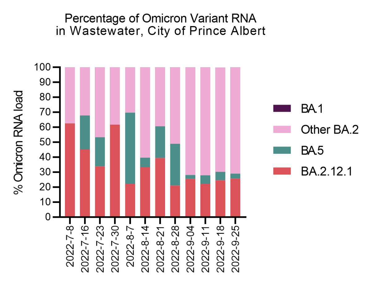 Percentage of Omicron variant RNA in the wastewater in Prince Albert.