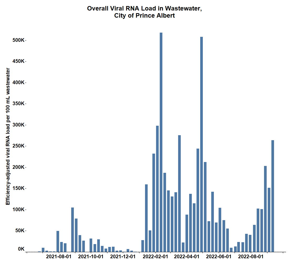 The overall viral RNA load in the wastewater in the City of Prince Albert.