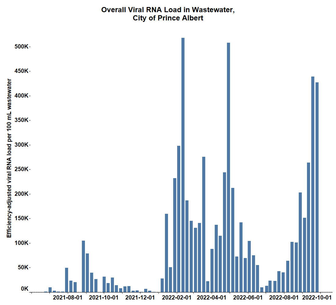 Overall viral RNA load in the wastewater in Prince Albert.