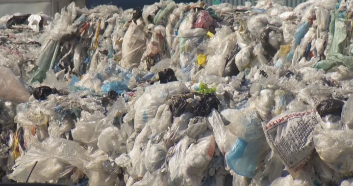 Committee endorses Calgary single-use plastics reduction strategy and bylaw