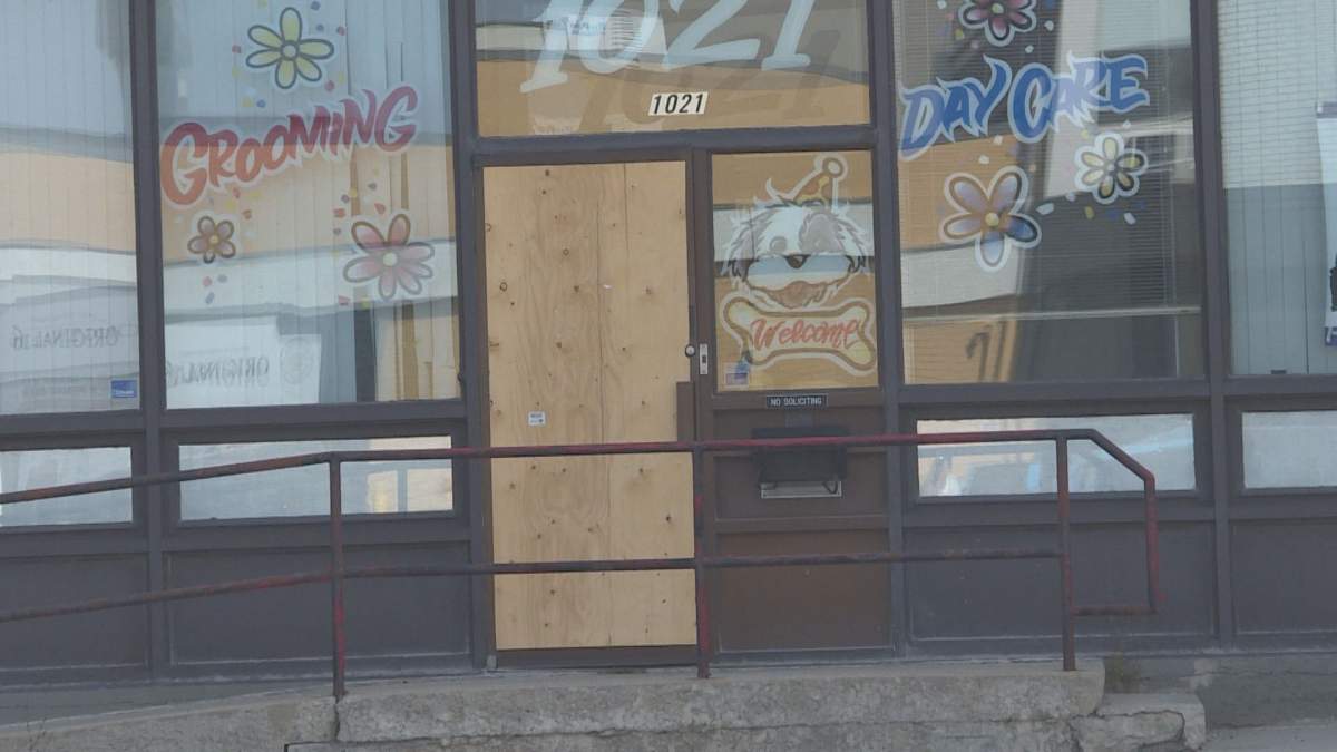 Last month, thieves smashed out the front windows of Pup Paradise on McPhillips Street, stealing a TV, laptop, and cash from the till.