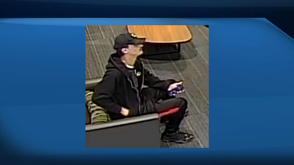 Richmond RCMP are looking to members of the public to help identify a suspect who stole a woman's purse.