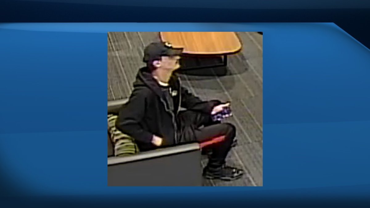 Richmond RCMP are looking to members of the public to help identify a suspect who stole a woman's purse.
