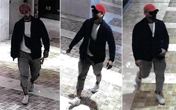 Police seek suspect after sexual assault reported in Toronto