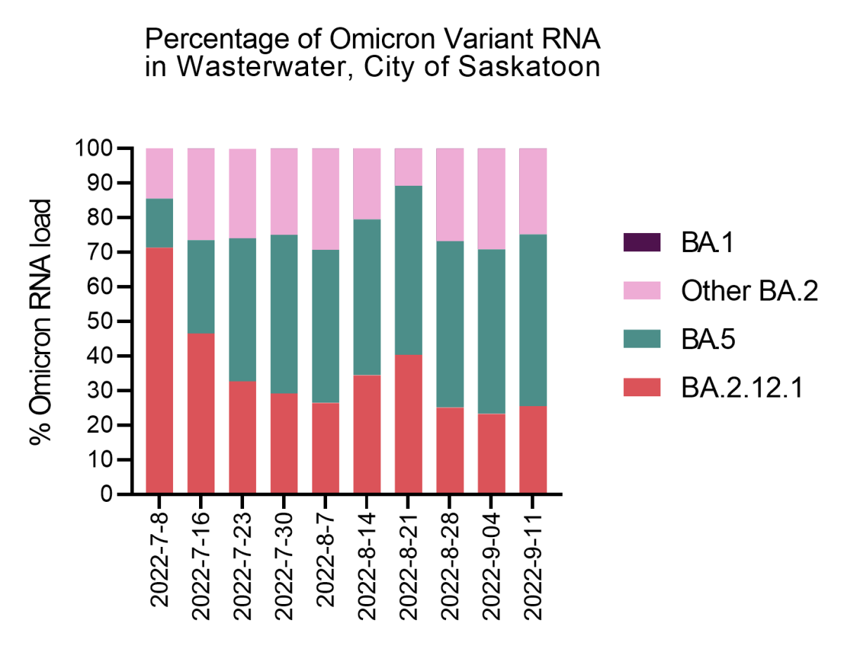 The percentage of omicron variant RNA in the wastewater in the City of Saskatoon.