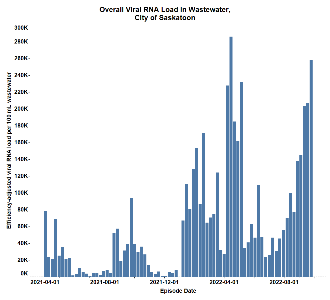 Overall viral RNA load in the wastewater in Saskatoon.