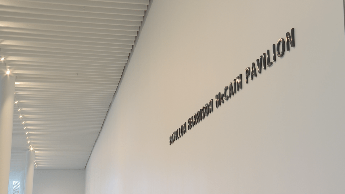 Tom Smart, the art gallery’s director, said the McCain’s wanted art to be accessible, which is why the new pavilion is free and has physical accessibility features.