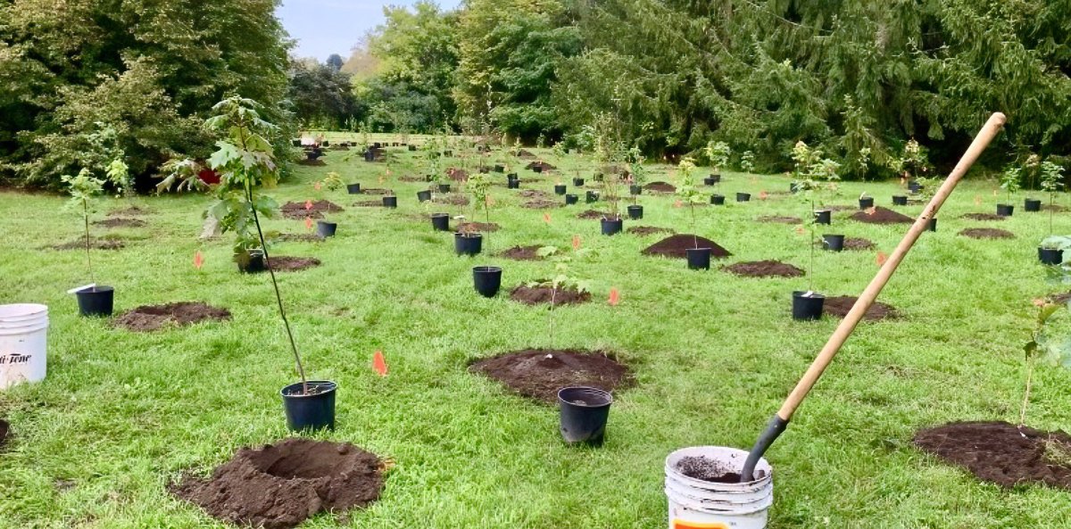The City of Peterborough will plant 620 new trees at Farmcrest Park on Sept. 24. 