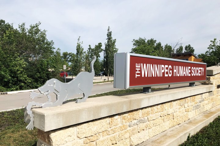 Humane society calls on Winnipeggers to turn in lethal animal traps