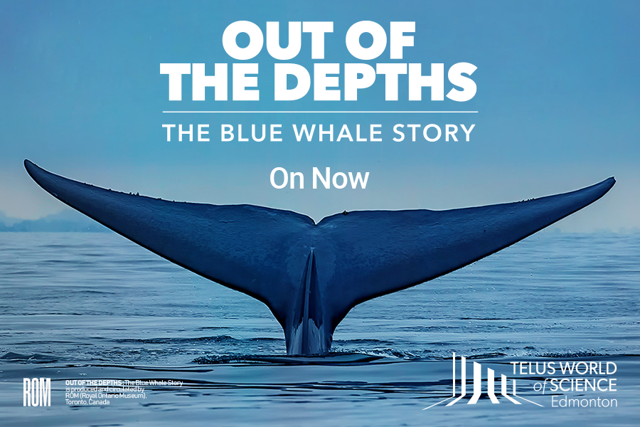 Global Edmonton supports – Out of the Depths: The Blue Whale Story at TELUS  World of Science – Edmonton - GlobalNews Events