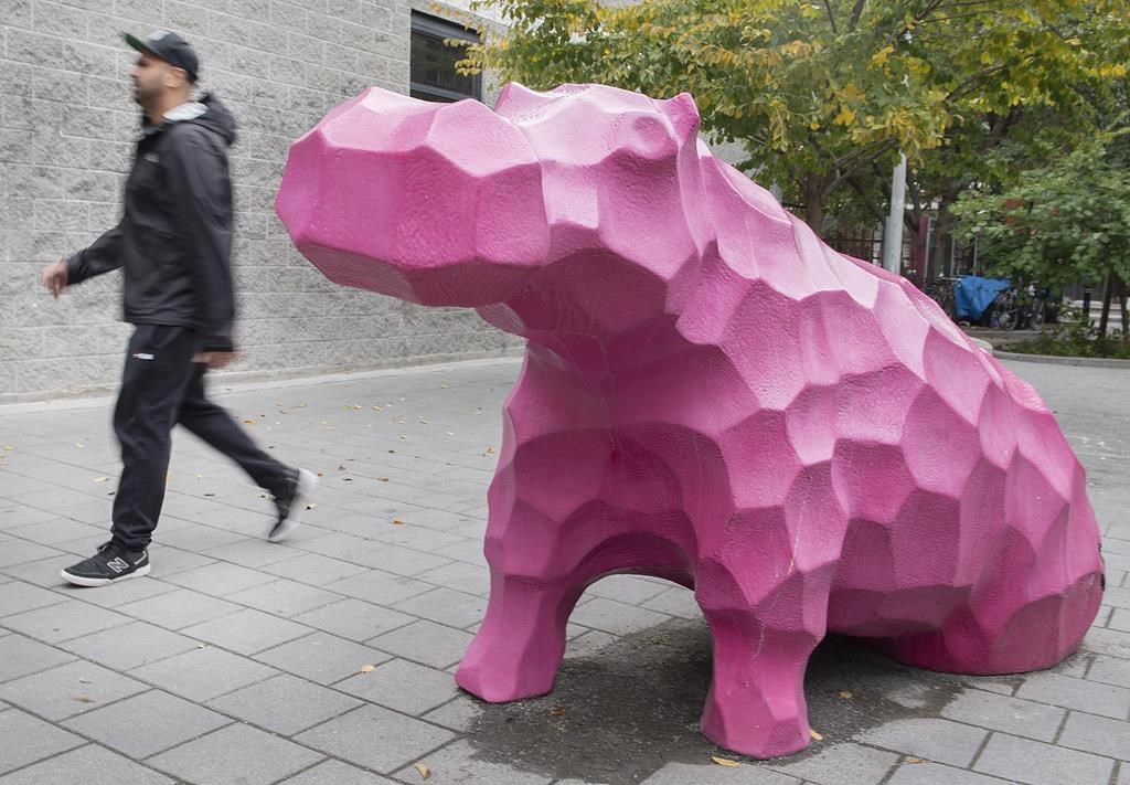 A man walks by a pink Hippo at the site of the former Jardin Guilbault in Montreal, Friday, Oct. 7, 2022. The site once housed a zoological park, created by Joseph-Edouard Guilbault in the 1800s. THE CANADIAN PRESS/Graham Hughes.