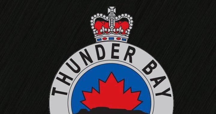 Thunder Bay police death inquest views cellblock footage of man asking for help