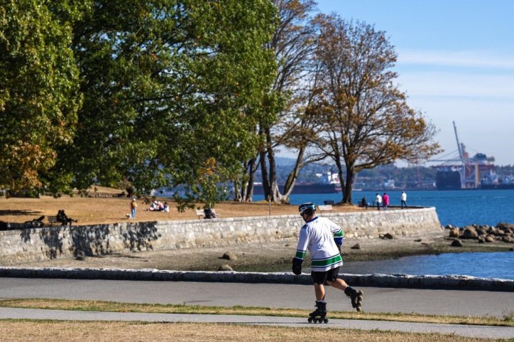 With hotter summers ahead, Vancouver’s Stanley Park to get new fire risk mitigation plan