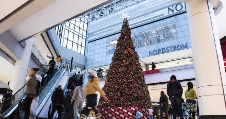 Holiday spending in Canada expected to fall amid recession concerns: report