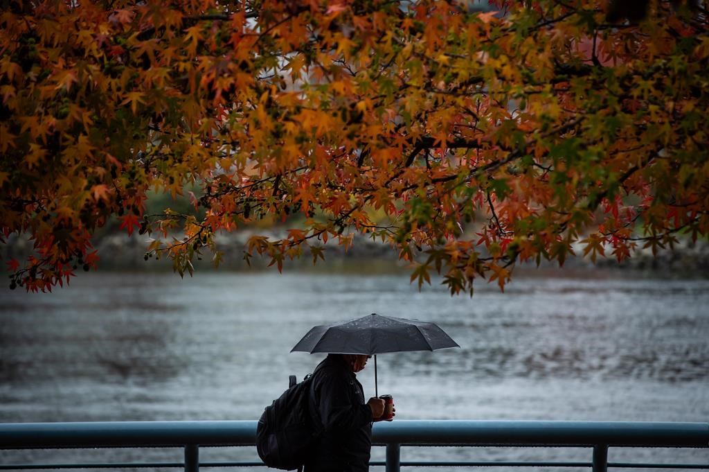A person holds an umbrella as rain falls while walking under fall foliage on the False Creek seawall in Vancouver, on Saturday, Oct. 23, 2021. 