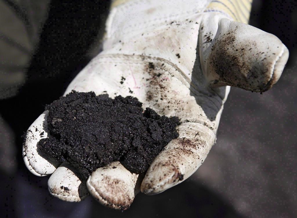 An oil worker holds raw oilsands near Fort McMurray, Alta., July 9, 2008. The difference between the price of Western Canada Select (WCS) — an oilsands bitumen blend — and New York-traded West Texas Intermediate (WTI) has widened dramatically in October, to more than US$25 per barrel, according to a Scotiabank report.