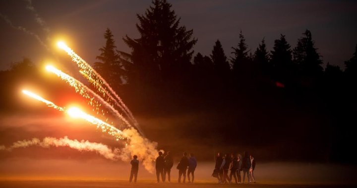 Brampton councillors approve personal fireworks ban