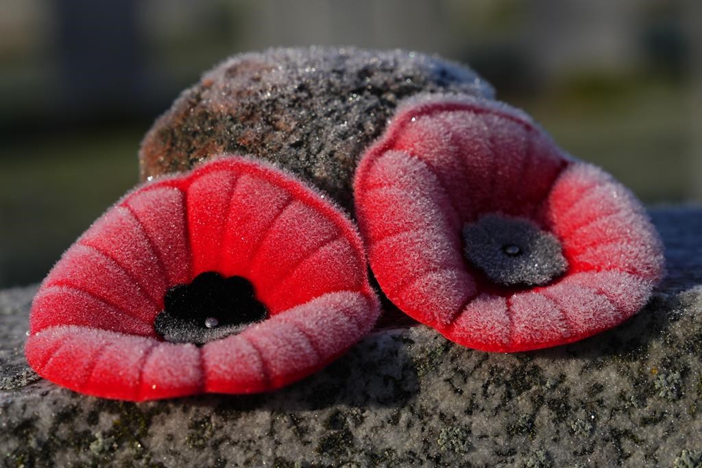 Frosty poppies sit atop a tombstone on Remembrance Day at the National Military Cemetery in Ottawa on Thursday, Nov. 11, 2021.