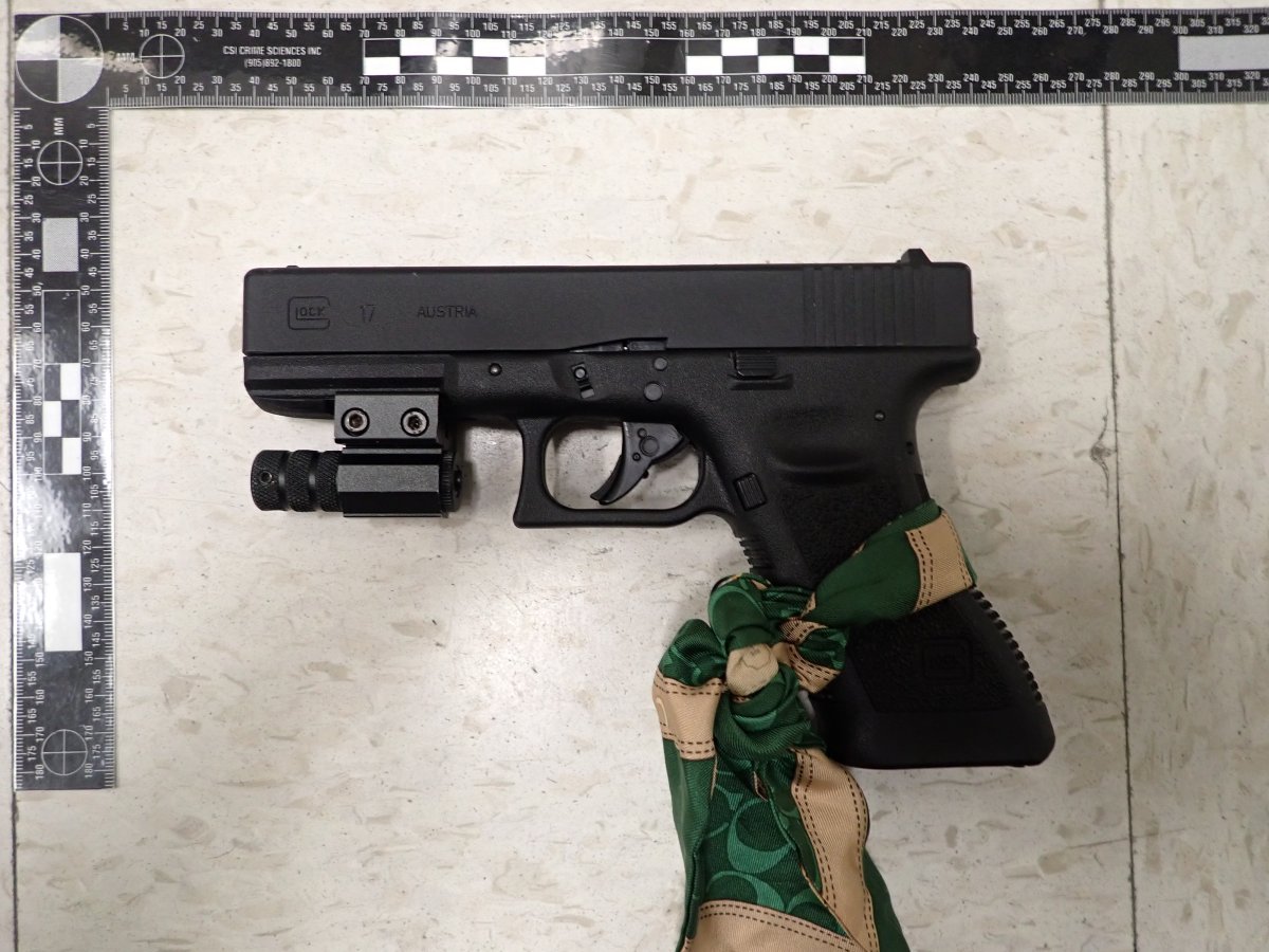 Stratford, Ont. man shot at ducks with replica handgun, police allege - image