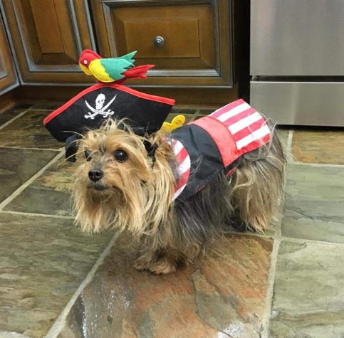 – Alexia K., Toronto, Ont.