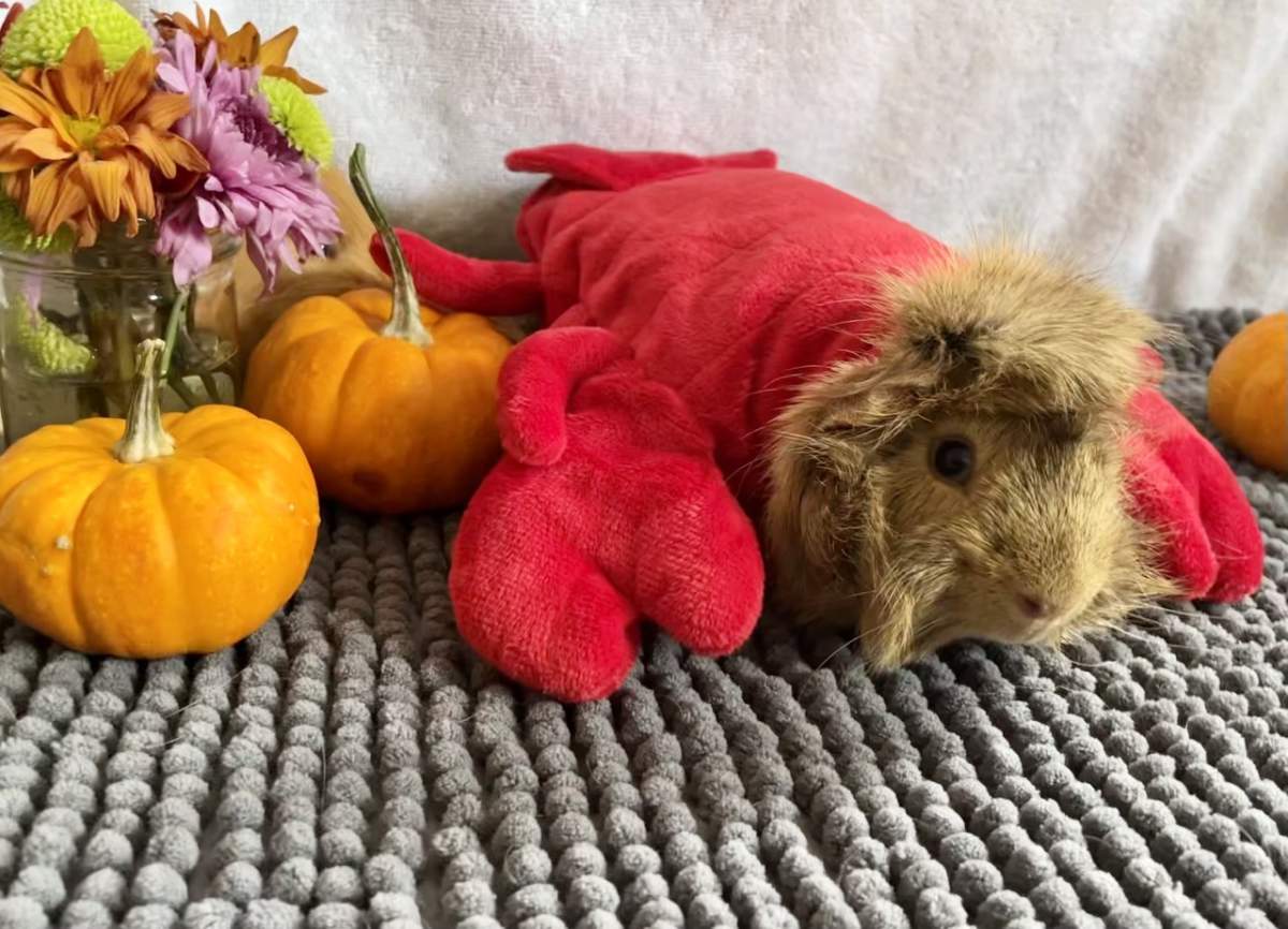 – Mackinley Graham, Paris, Ont.