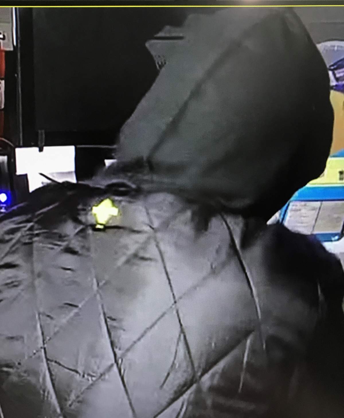 Prince Albert police released this photo of the break-and-enter suspect.