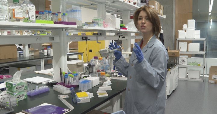 University of Lethbridge researcher recognized for gut health study