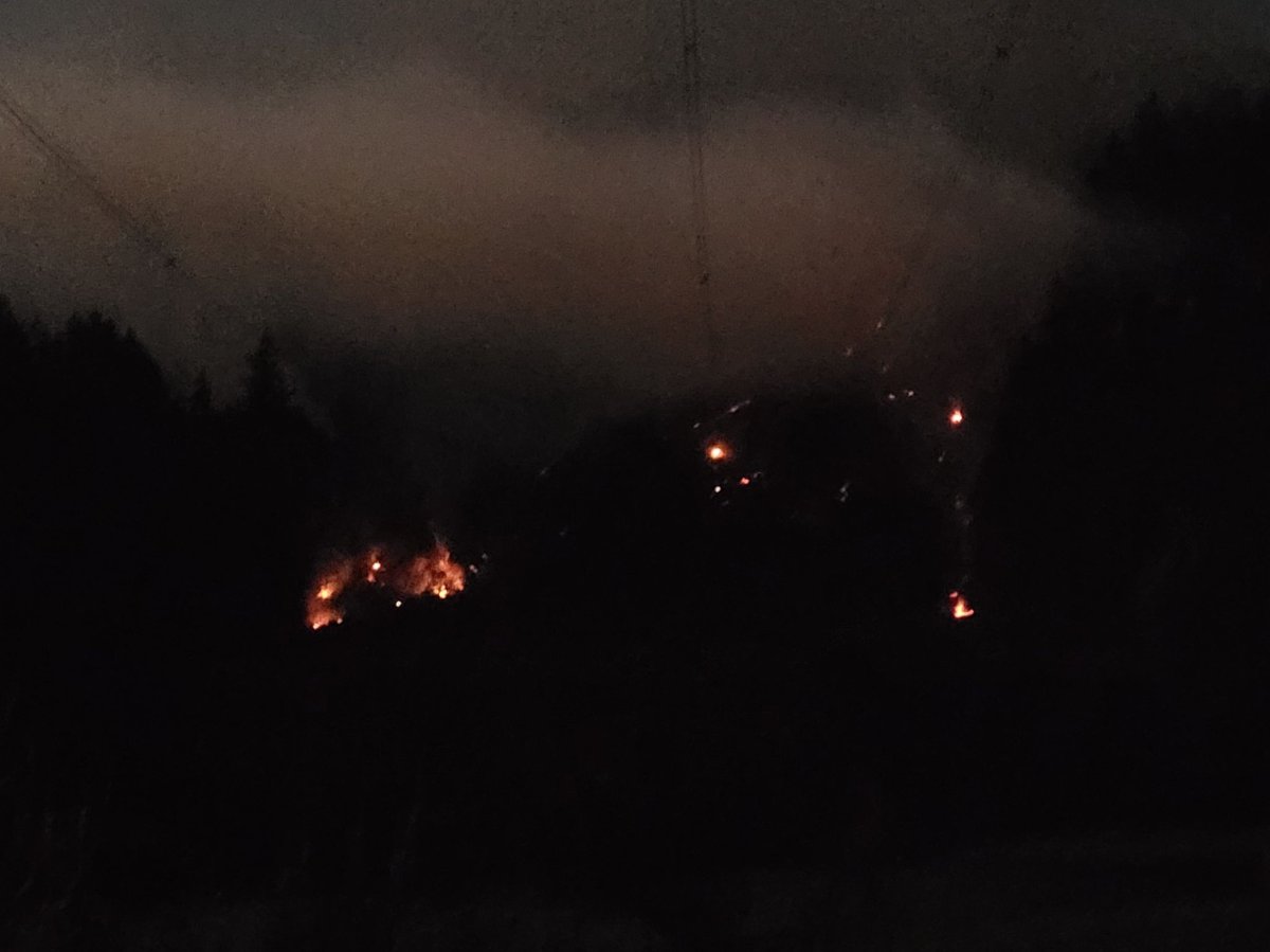 Wildfire sparks 10 km west of Duncan, B.C. on Vancouver Island ...