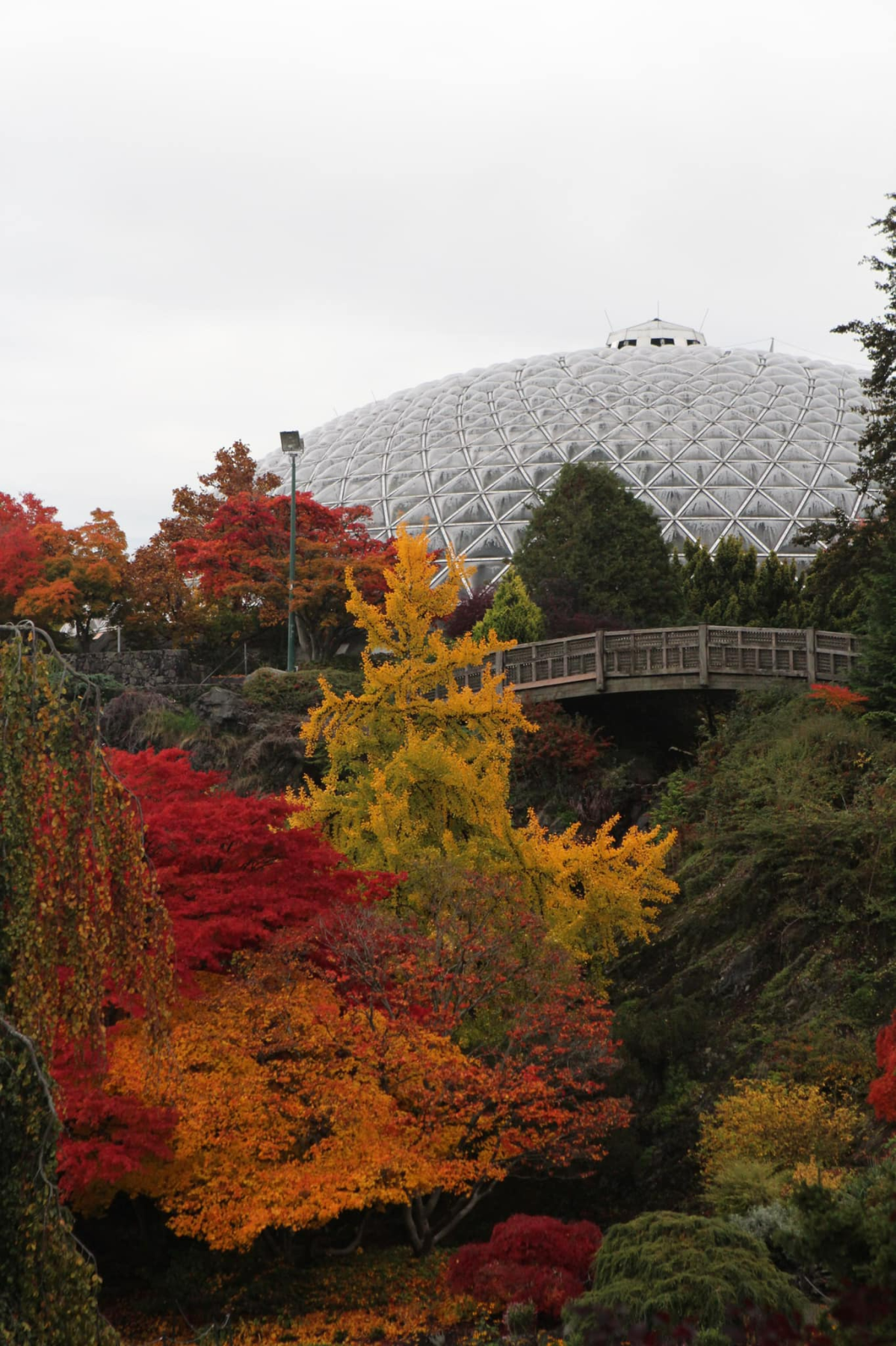 Best spots for colourful fall leaves in Canada