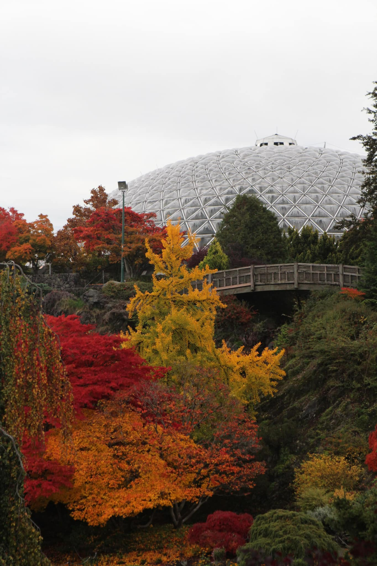 Queen Elizabeth Park