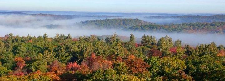 Dorset Lookout Tower