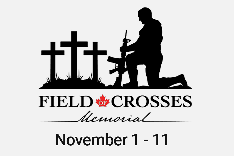Field of Crosses Memorial Project; supported by Global Calgary - image