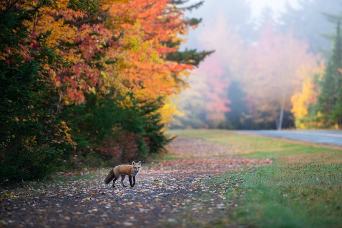 Kouchibouguac National Park