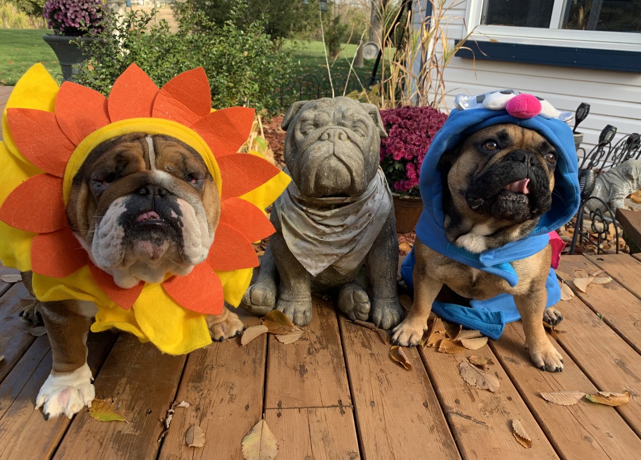 – Lorie Dakin, Wainfleet, Ont.