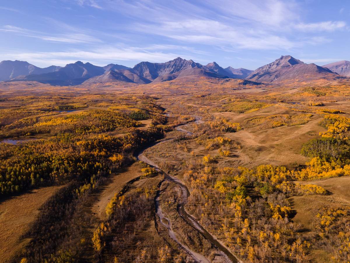 Fischer Ranch near Twin Butte, Alta.