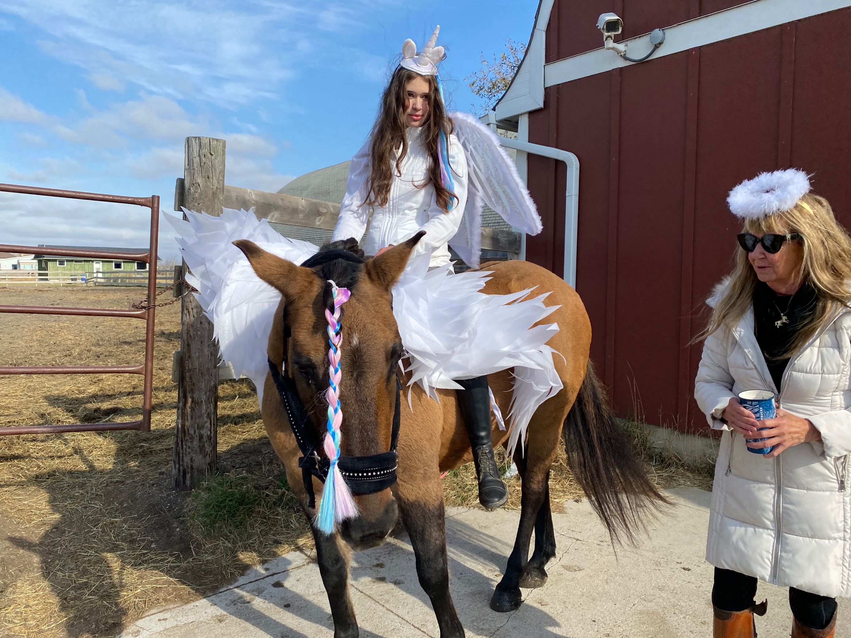 Winnipeg riding school celebrates Halloween early with costumed horses - image
