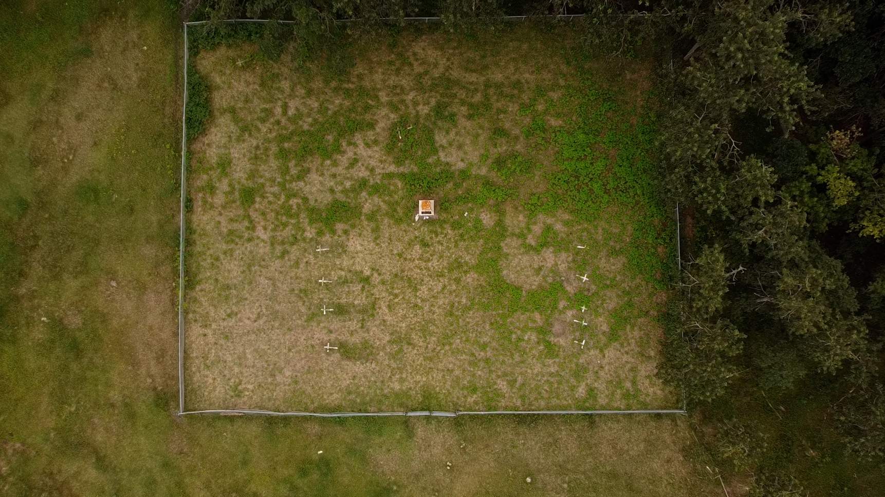 An aerial view of the North Hill Burial Grounds. The metal fence and cairn was put up sometime in the 1960s.