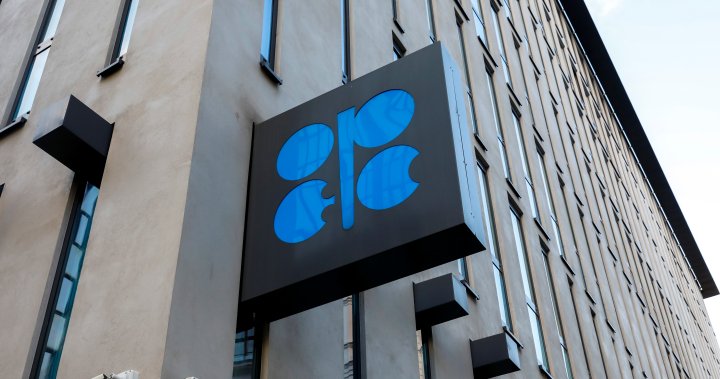 OPEC keeps oil output targets unchanged amid uncertainty on Russian sanctions