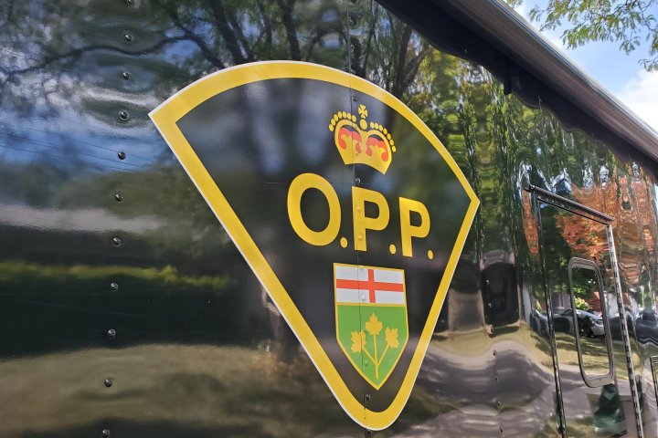Man arrested in connection with dog fight at Guelph, Ont. sports park