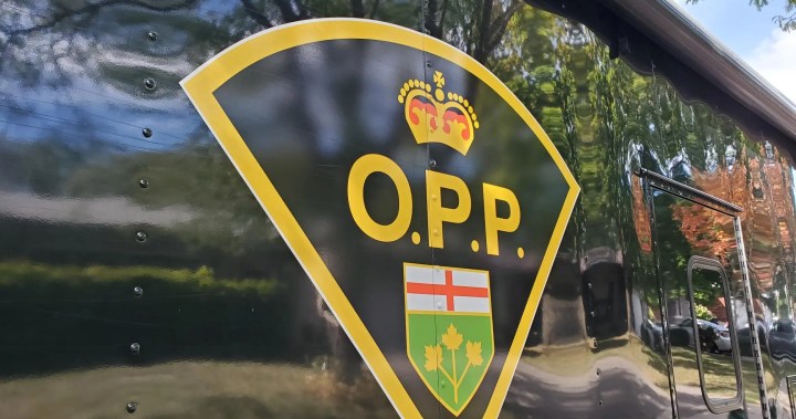 Kingston teens charged after collision near Renfrew, Ont.