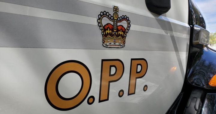 Driver faces impaired charge after being found asleep at the wheel: OPP