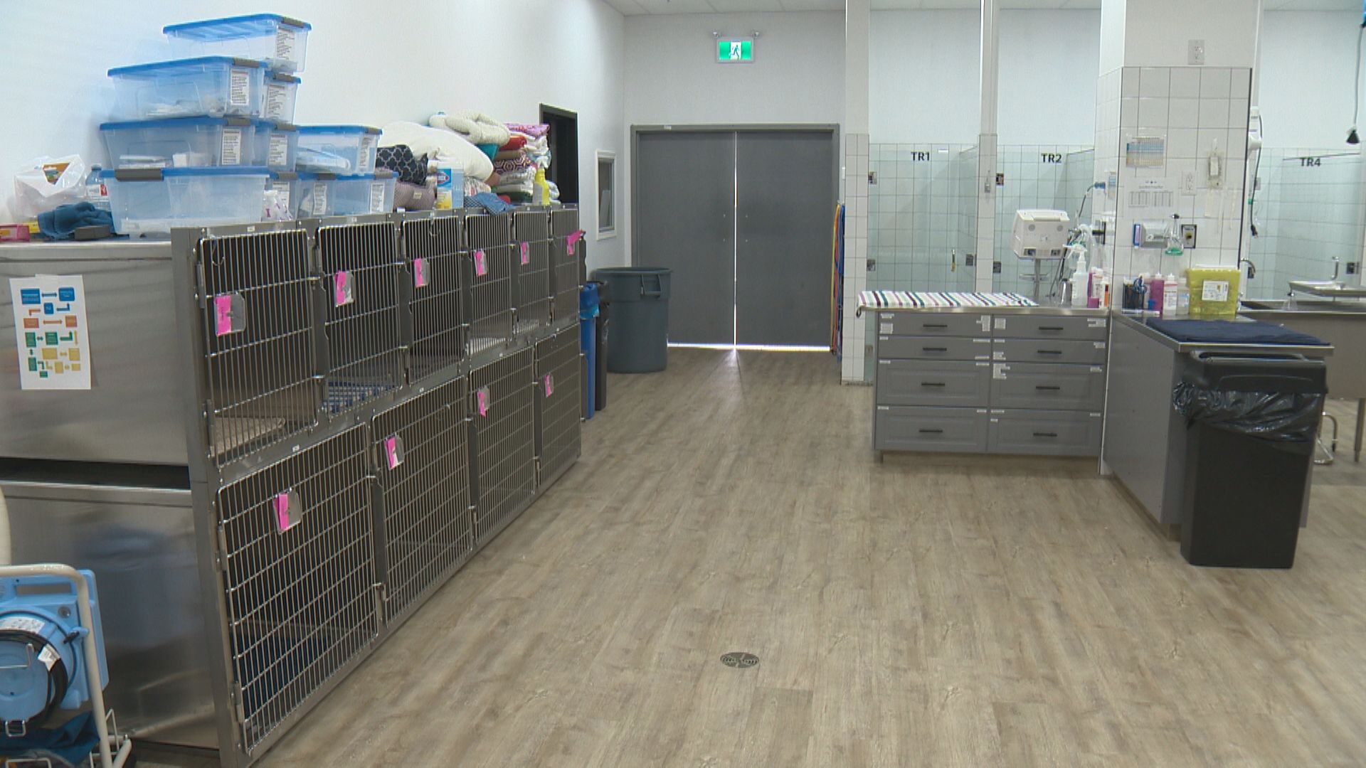 Unprecedented Demand For Emergency Veterinary Services In Edmonton   OVERWHELMED VETS 