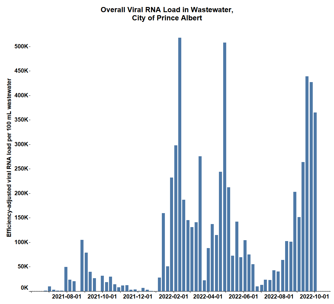 The overall viral RNA load found in the wastewater in Prince Albert.